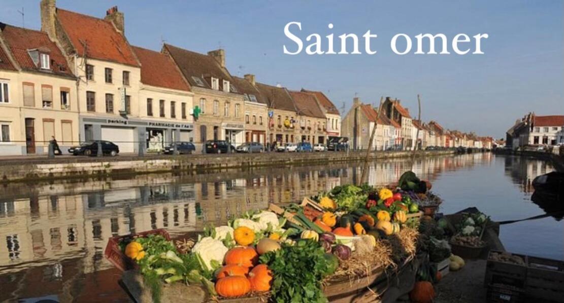 Le Clos Des Glycines Saint-Martin-Lez-Tatinghem Zewnętrze zdjęcie